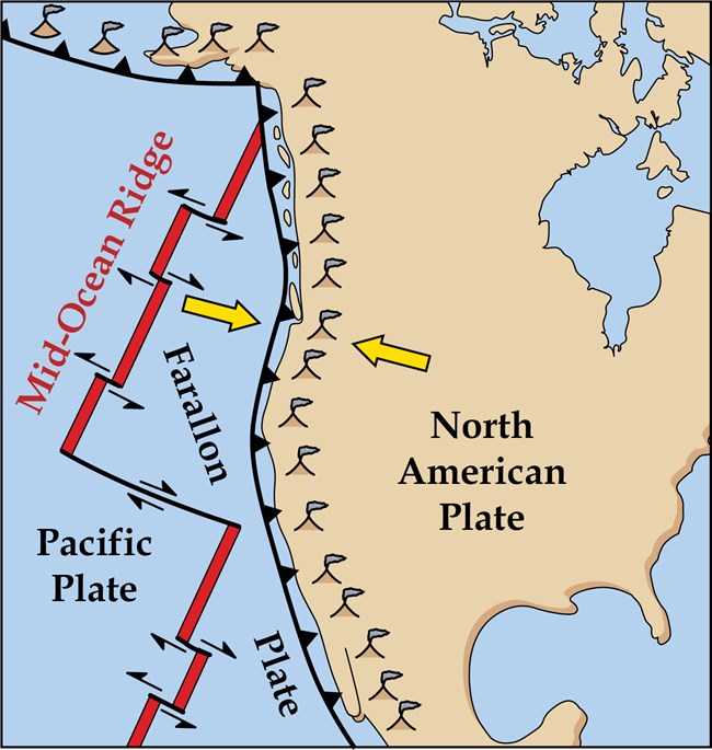 A map of the pacific coast. The tectonic setting of the WestCoast of North America 20 MYA
